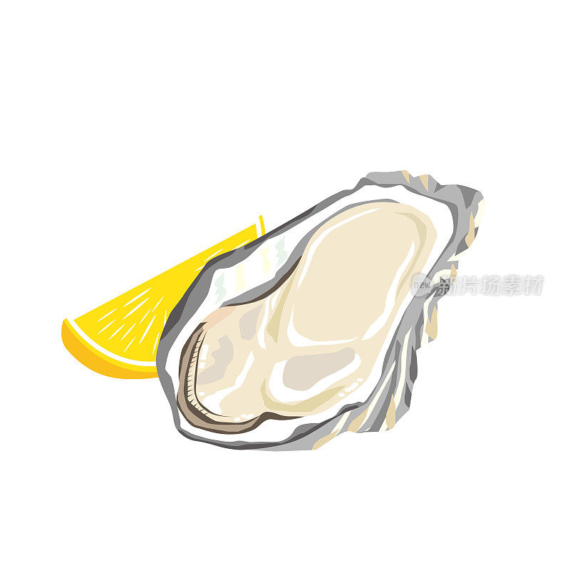 插图的牡蛎