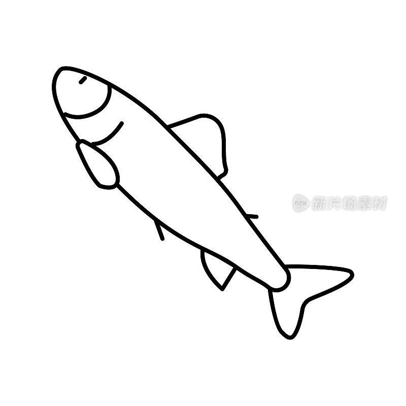 帕尔鲑鱼线图标矢量插图