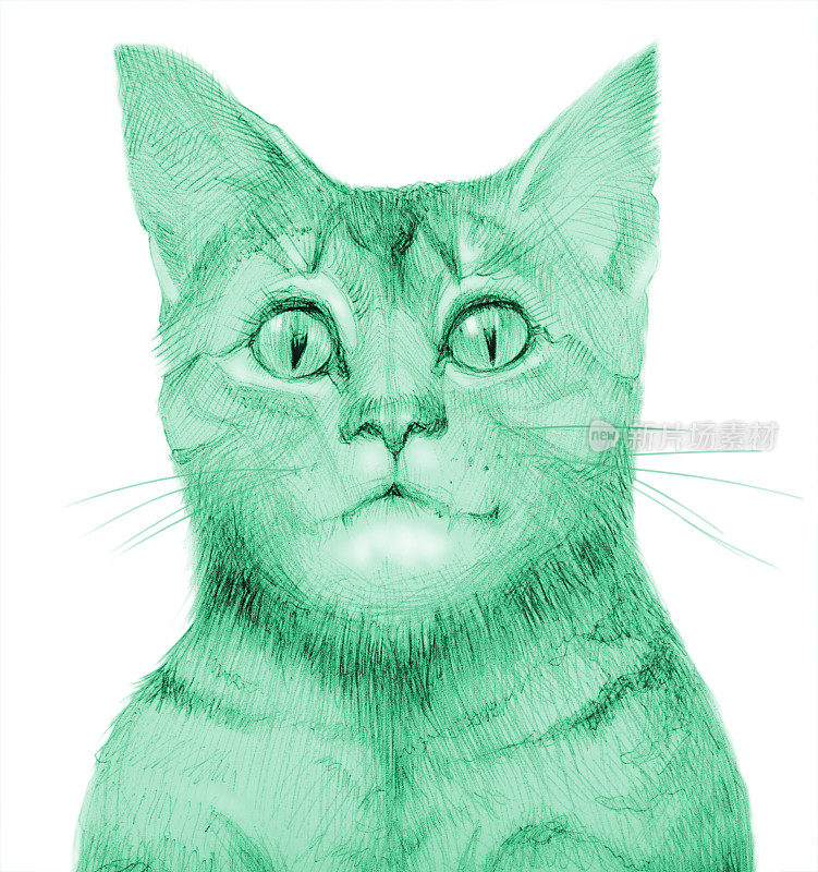 插图垂直铅笔画在白色背景上的绿色猫肖像