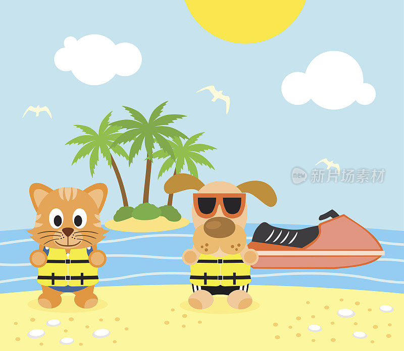 夏天的背景与狗和猫在海滩上