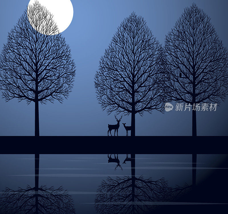 月夜和鹿