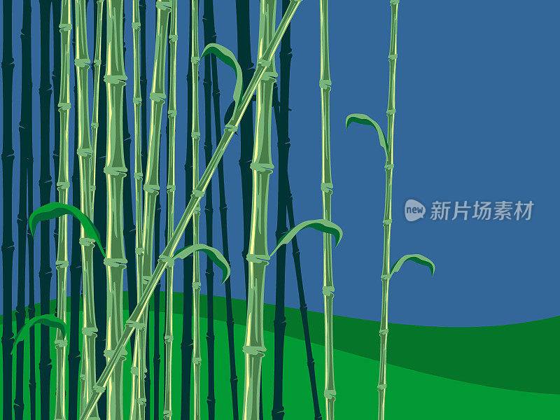 竹集团