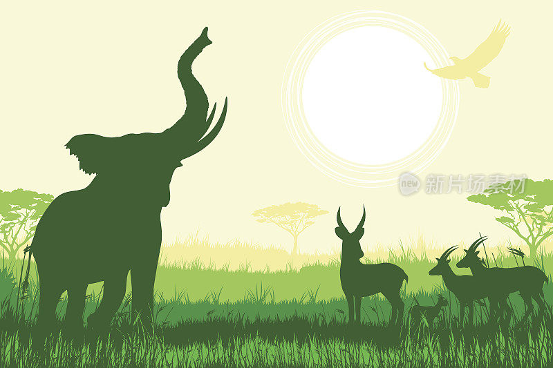 非洲狩猎背景，有喇叭大象和羚羊