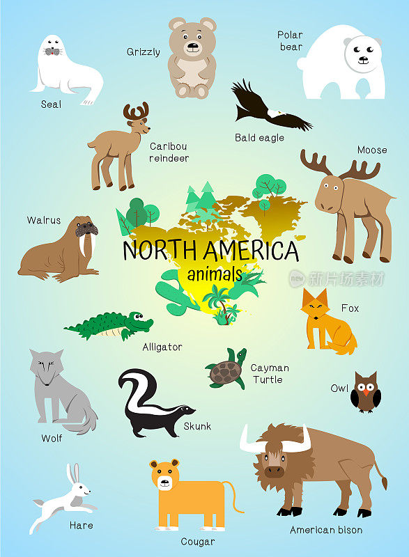 北美的动物。儿童，学龄前儿童，幼儿园，幼儿园的海报。野牛、臭鼬、鹿、狼、狐狸、猫头鹰、灰熊、鳄鱼、海象、鹰、龟、豹、熊、海豹