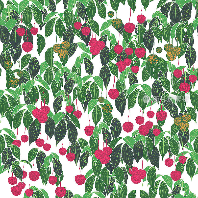山茱萸粉，绿叶白色背景图案