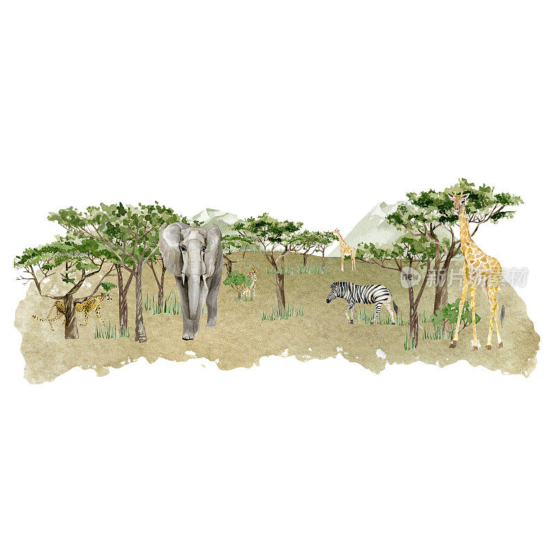 水彩草原野生动物插图。非洲的景观由树木、大象、长颈鹿、斑马、豹子和绿色的山组成。墙艺术打印。幼儿园小装饰。
