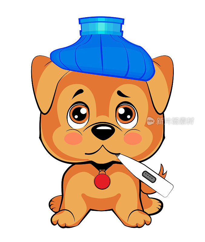 可爱的狗生病了。一只小狗笔直地坐着，头上顶着一个蓝色的水瓶，嘴里叼着温度计
