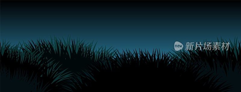 晚上草。农村自然景观。牧场上杂草丛生。长满茂密的草地。水平无缝的插图。向量