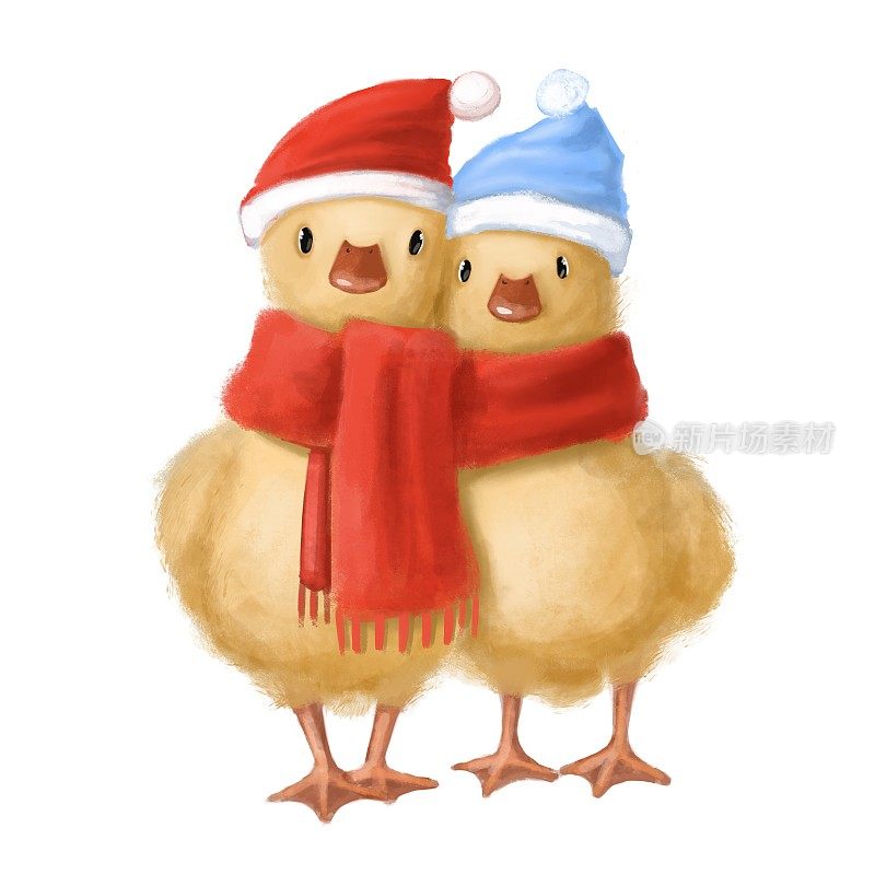 可爱的一对小鸭子戴着温暖的围巾