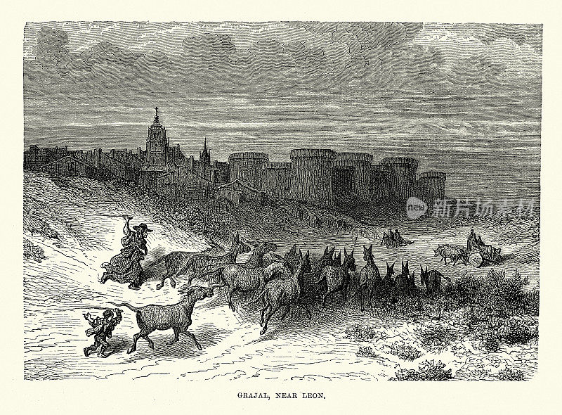 放牧驴子，格拉哈尔，莱昂附近，西班牙，西班牙，19世纪的历史，由古斯塔夫・多雷绘制