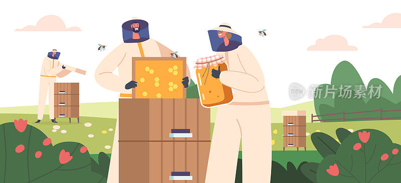 养蜂的概念、特征、提取蜂蜜。穿着防护服的养蜂人在蜂房取蜂巢
