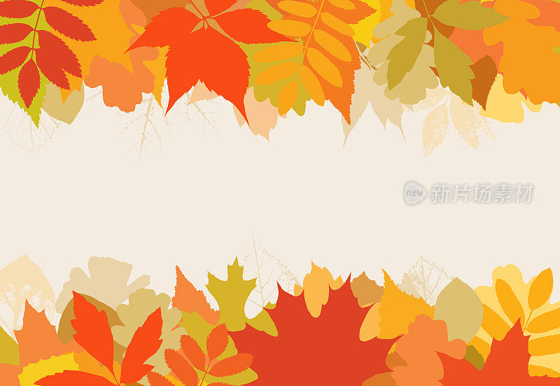 秋天的背景与树叶