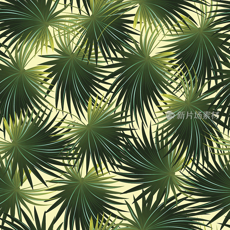 热带卷心菜棕榈叶的无缝模式