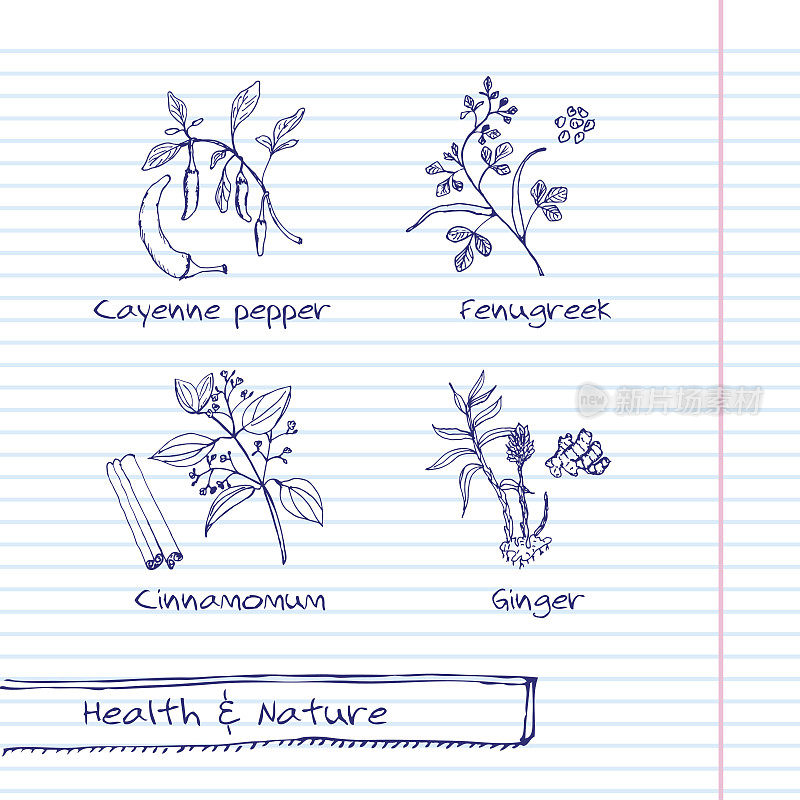 手绘插图-健康和自然设置