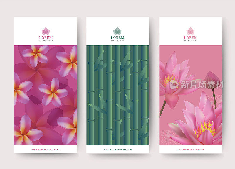 品牌包装蝗虫和鸡蛋花和竹树抽象背景，标志横幅代金券，矢量插图
