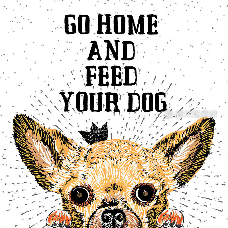 回家喂你的狗。用可爱的微笑但饥饿的狗签名。动机字母纹理背景。给爱狗人士的题词。鼓舞人心的排版书法。要求短语。