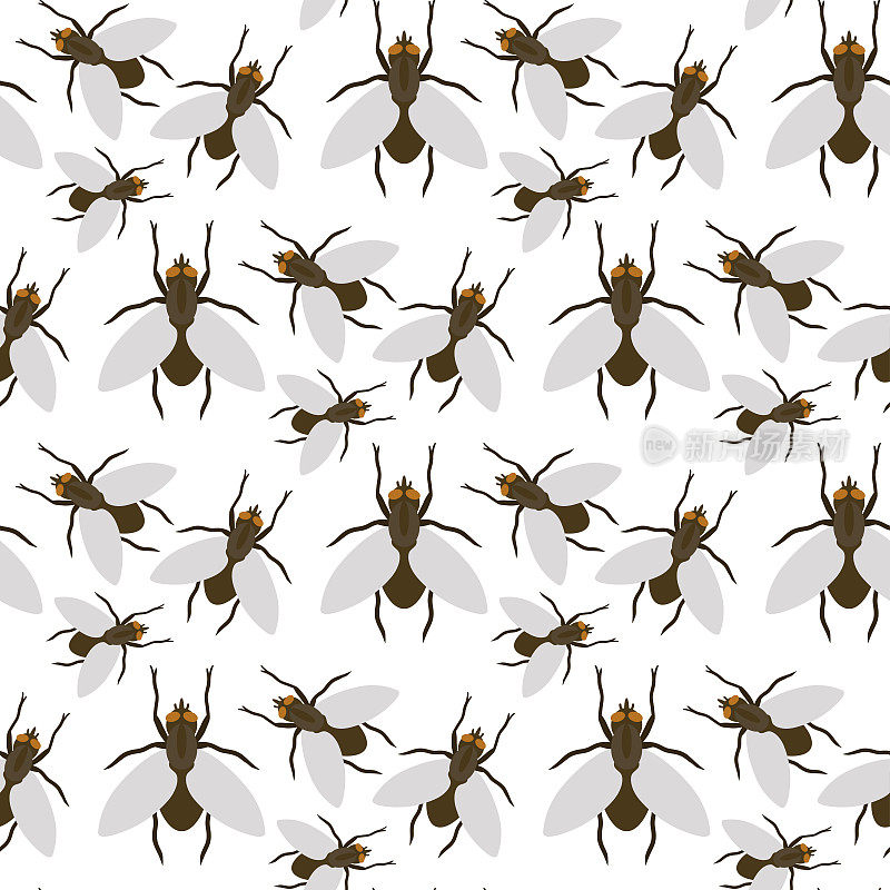 苍蝇昆虫野生昆虫学昆虫动物自然甲虫生物学嗡嗡图标矢量插图模式无缝背景