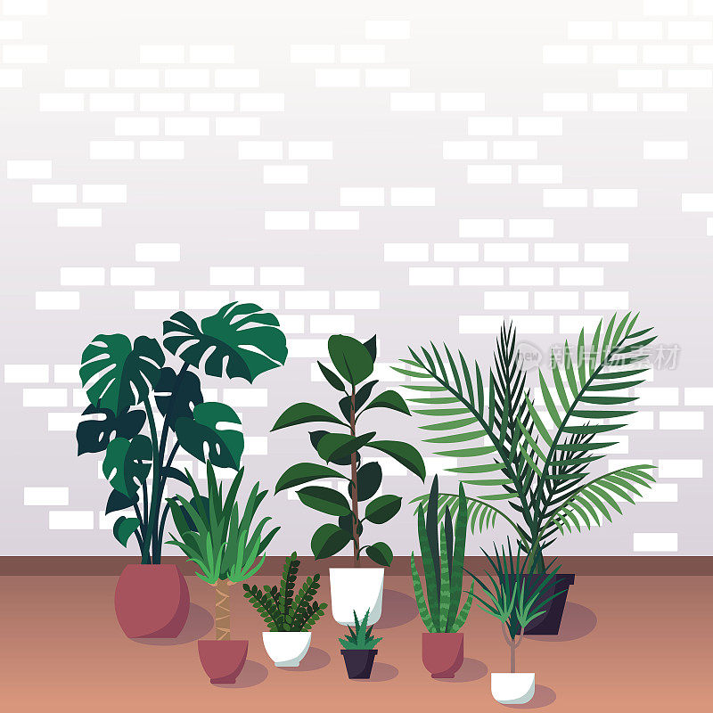 矢量插图的各种观赏室内植物在花盆，砖墙的背景。常见的室内植物