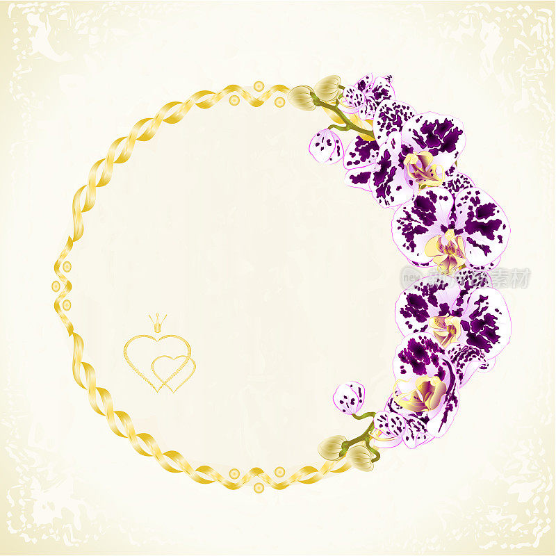 标签与斑点白色和紫色兰花蝴蝶兰花卉节日背景复古矢量插图编辑