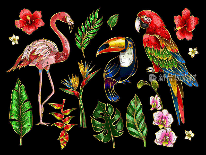 鹦鹉、巨嘴鸟、火烈鸟和花朵刺绣元素。