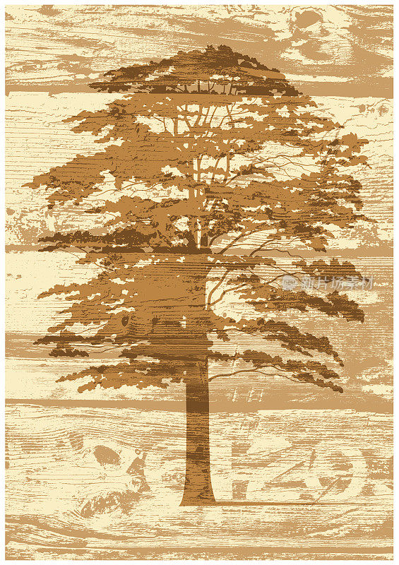 棕色树在木板背景