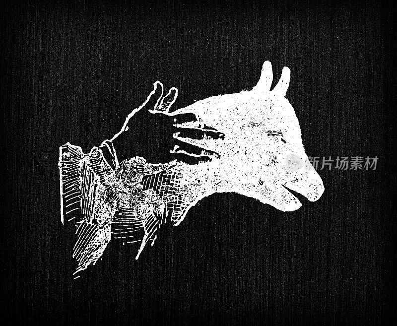 古色古香的法国版画插图:中国灯笼的影子