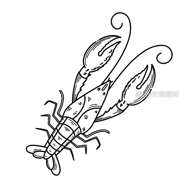 龙虾手绘轮廓涂鸦图标。向量素描插图的健康海鲜-龙虾或小龙虾孤立在白色背景