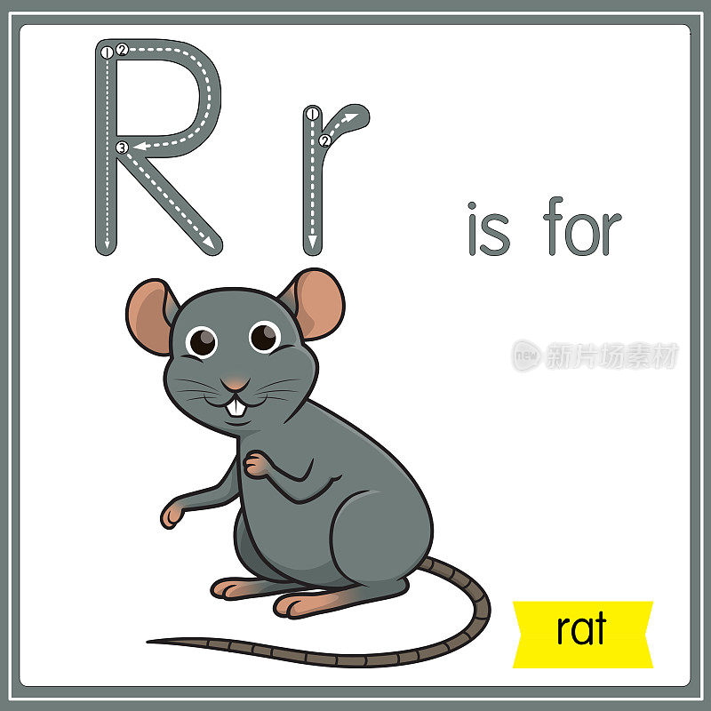 矢量插图学习字母为儿童与卡通形象。字母R代表老鼠。