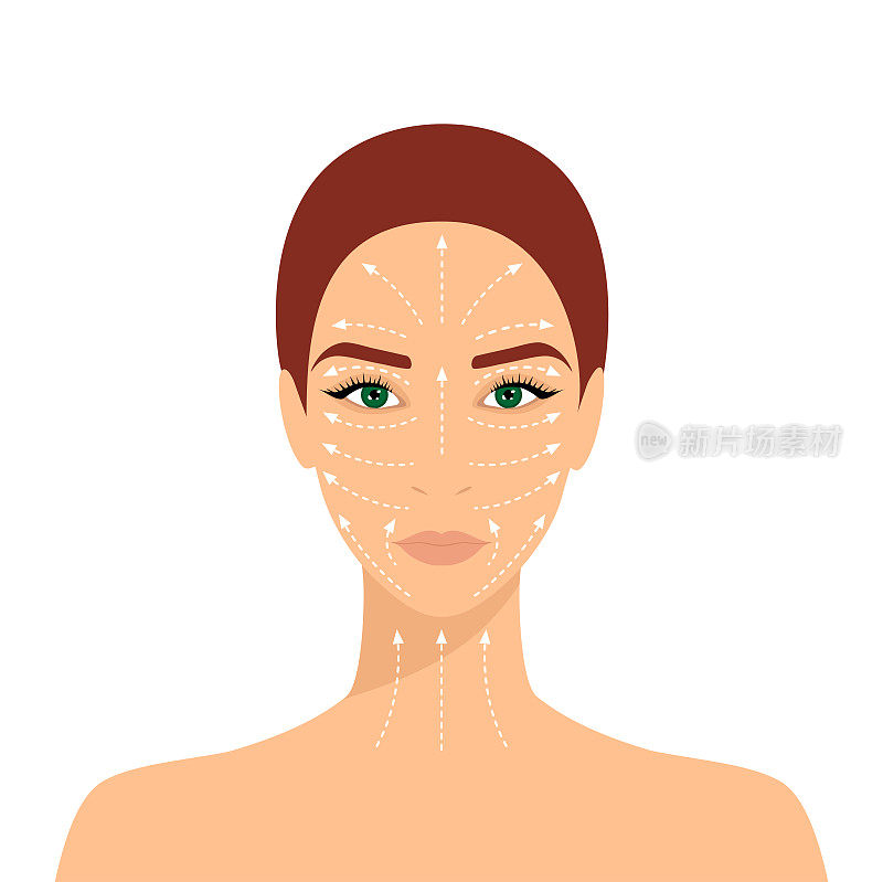 美丽的女人与按摩线在脸上和颈部孤立在一个白色的背景。面部和颈部按摩、面部塑造和淋巴引流的指导。平面向量插图