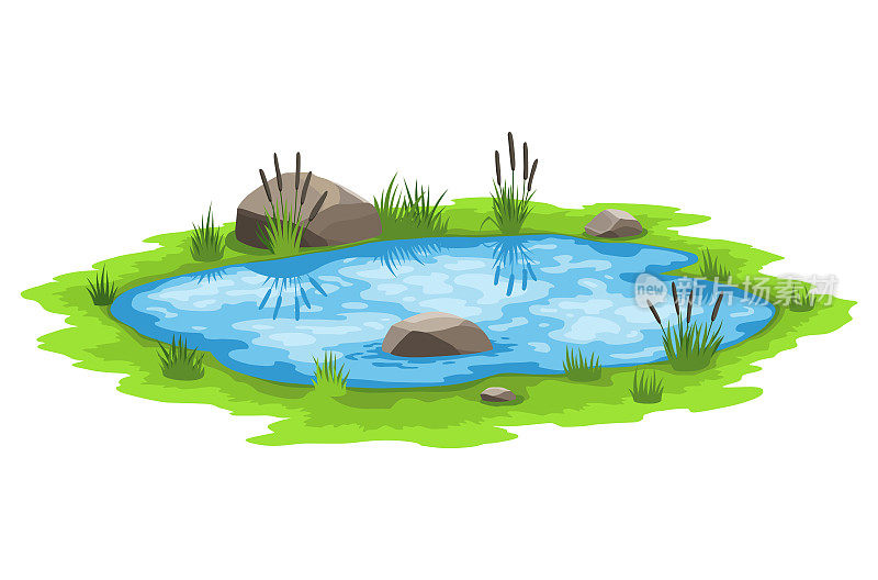 风景如画的自然池塘。碧水池塘，芦苇和石头。户外场景的概念。开小沼泽湖。乡村景观
