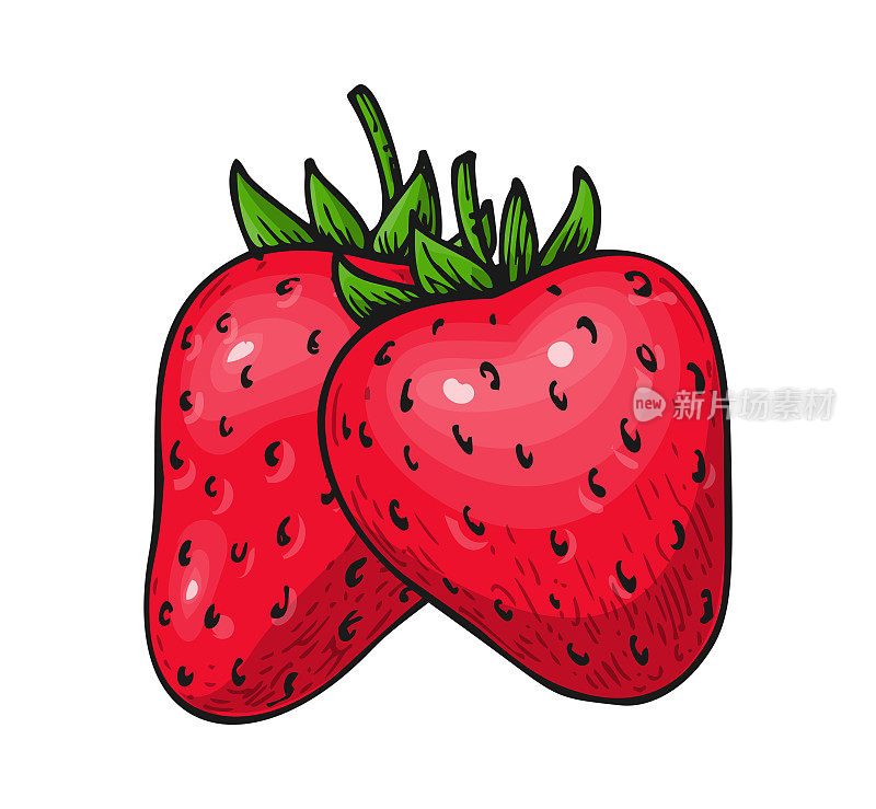 草莓香甜，完整，成熟，红色，新鲜，多汁的水果