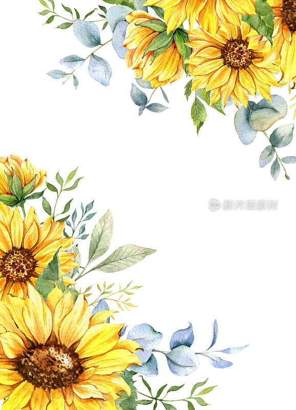 向日葵婚礼请柬框架。水彩花卉框架与向日葵。水彩植物插图