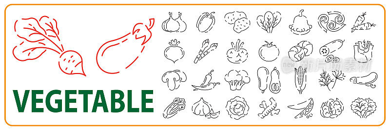 素食者，蔬菜，蔬菜-最小的细线图标集。简单的矢量图标为番茄，黄瓜，大头菜，花椰菜，南瓜，蕨菜好食物和健康