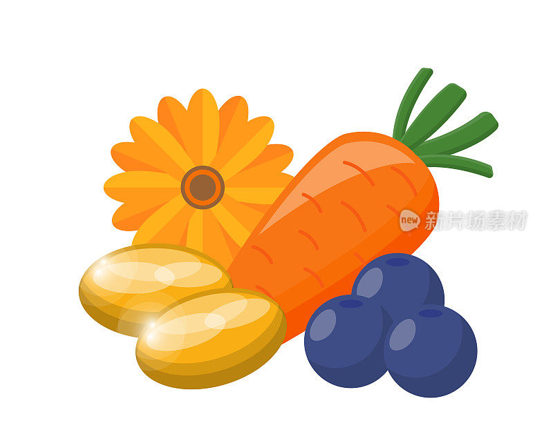 各种蔬菜和水果以及保护眼睛的营养食品，叶黄素和胡萝卜和蓝莓，矢量图标插图