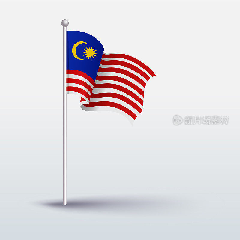 挥舞着马来西亚国旗