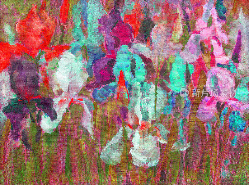插画艺术油画风景花鸢尾花盛开在花坛上，背景是树叶