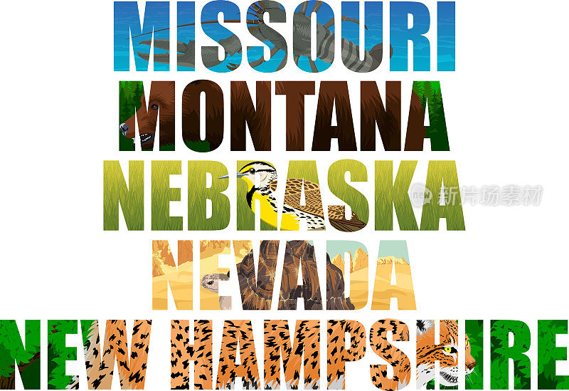 向量集的美国州字与动物-密苏里，蒙大拿，内布拉斯加州，内华达，新罕布什尔