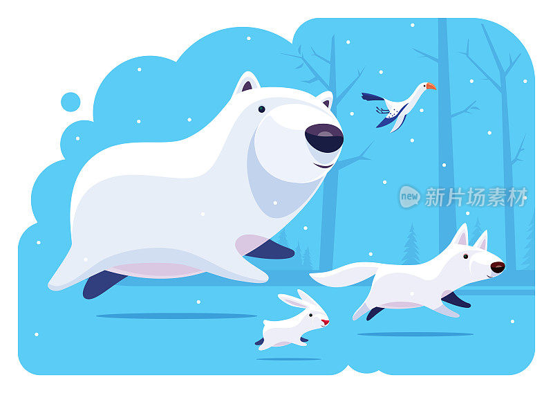 北极熊和朋友们跑步