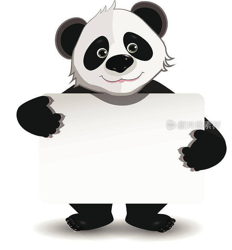 白色背景的熊猫