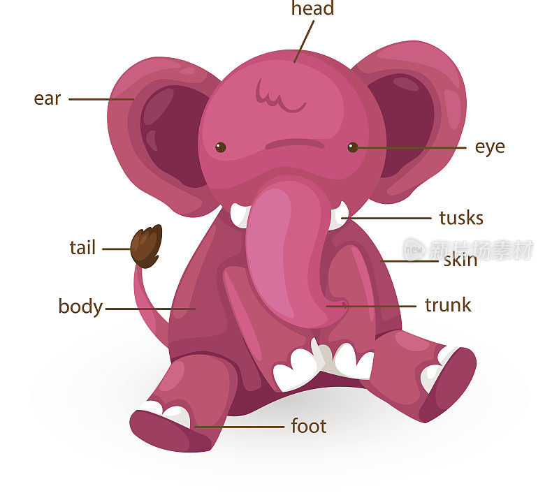 大象词汇是身体向量的一部分