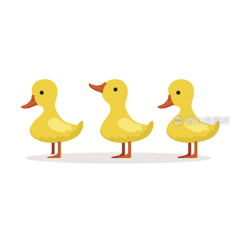 三个可爱的卡通小鸭子角色一个接一个地站在矢量插图上