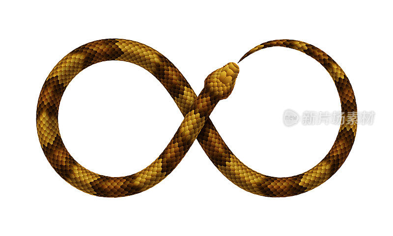矢量蛇以无穷符号的形式咬它的尾巴。