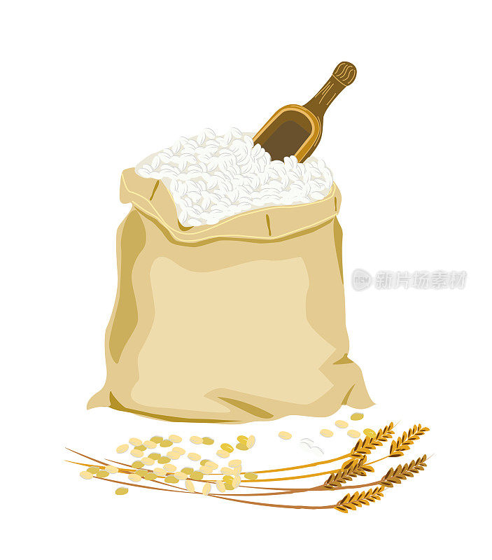 水稻和小麦病媒图