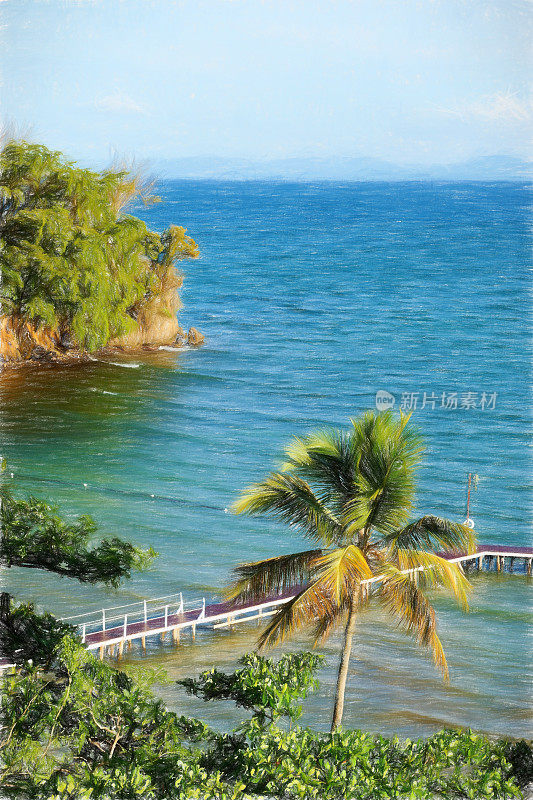 多米尼加共和国萨马纳的棕榈树，油画效果
