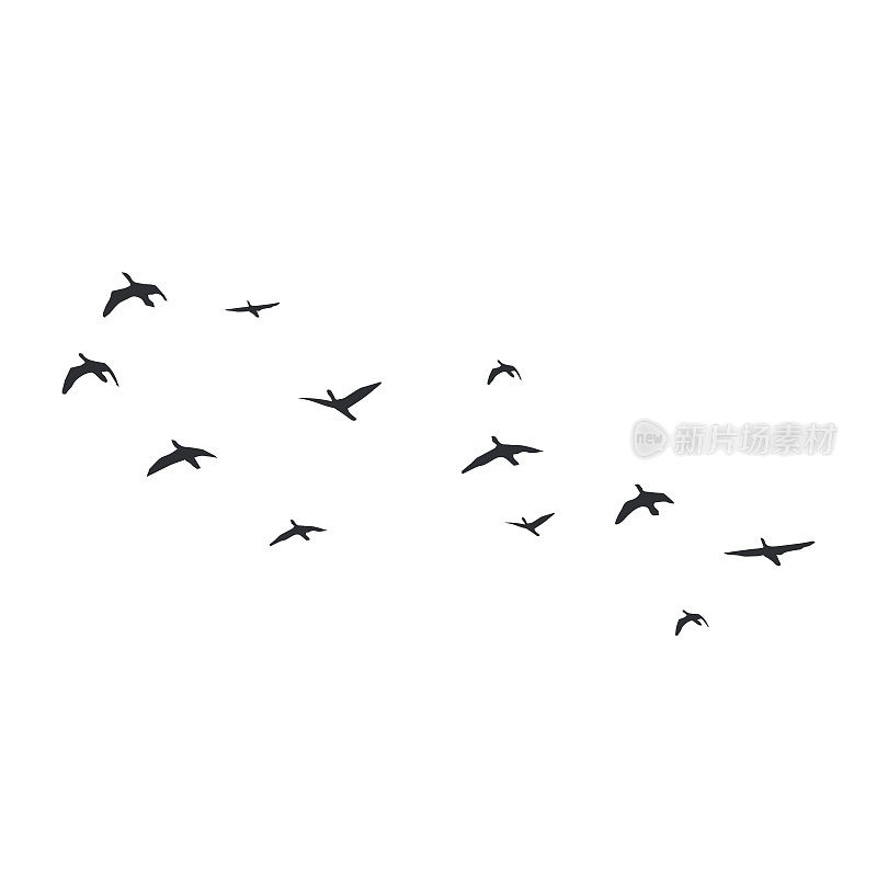 飞翔的鸟儿在白色的背景上剪影。矢量插图。孤立的鸟飞。