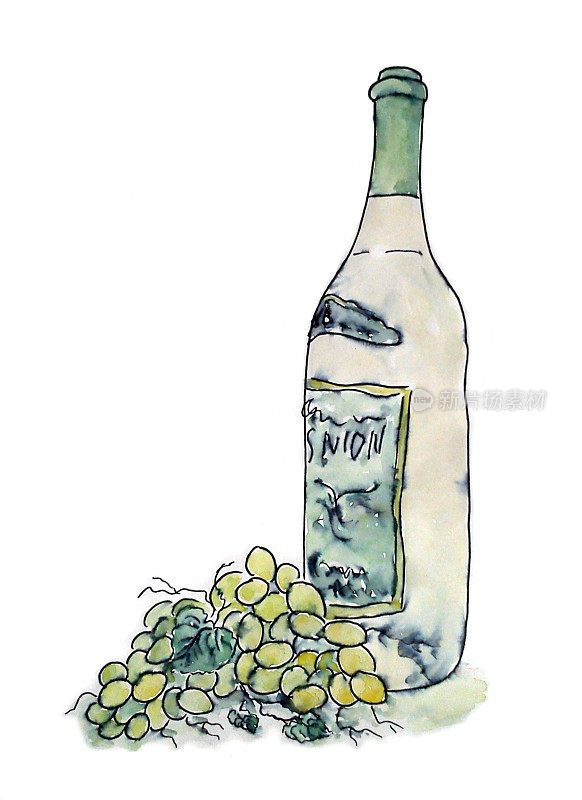 水彩插图与一瓶葡萄酒和一串葡萄孤立在白色的背景