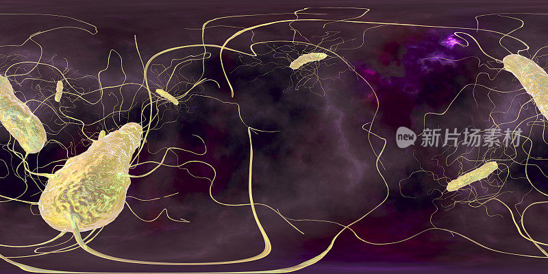 艰难梭菌，360度球形全景图