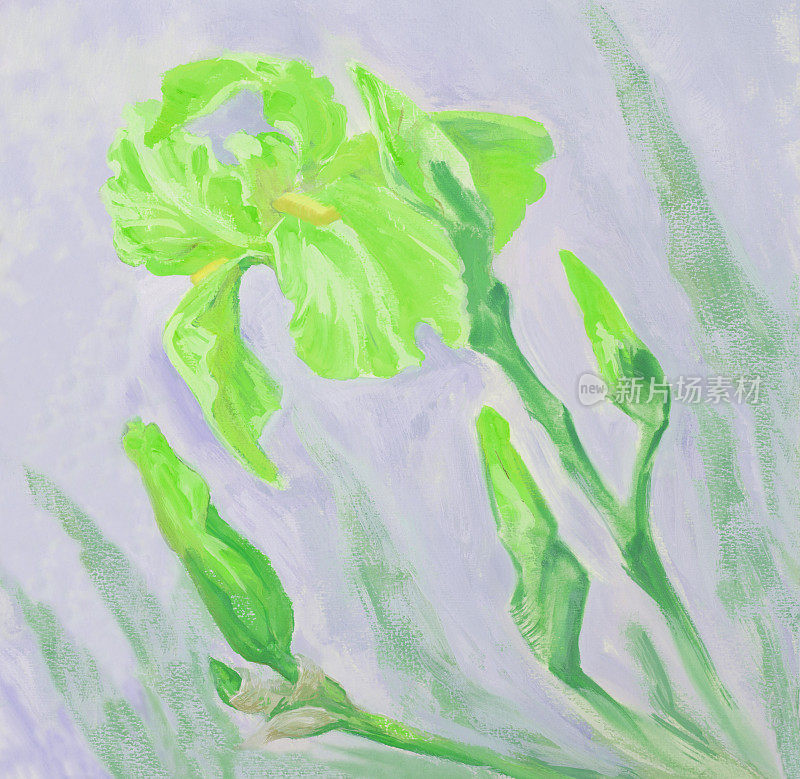 时尚的春天,插图,寓言,现代艺术作品,印象派风景,我的原始油画在画布上,盛开的绿色的鸢尾花,映衬着浅蓝的天空和绿色的叶子