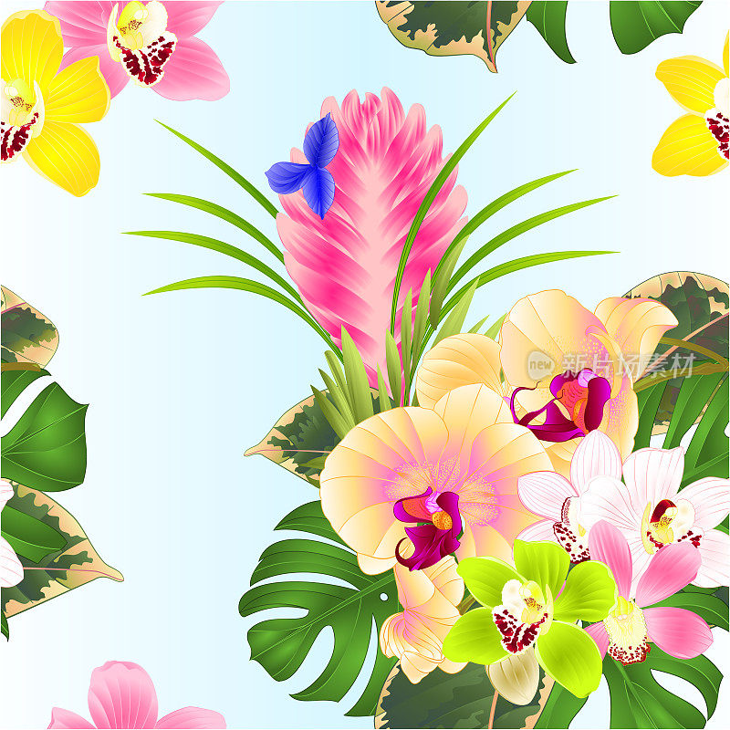 质地无缝的热带花卉黄兰花蝴蝶兰和大花蕙兰各种花束与蓝藻，棕榈，philodendron在白色背景复古矢量插图可编辑