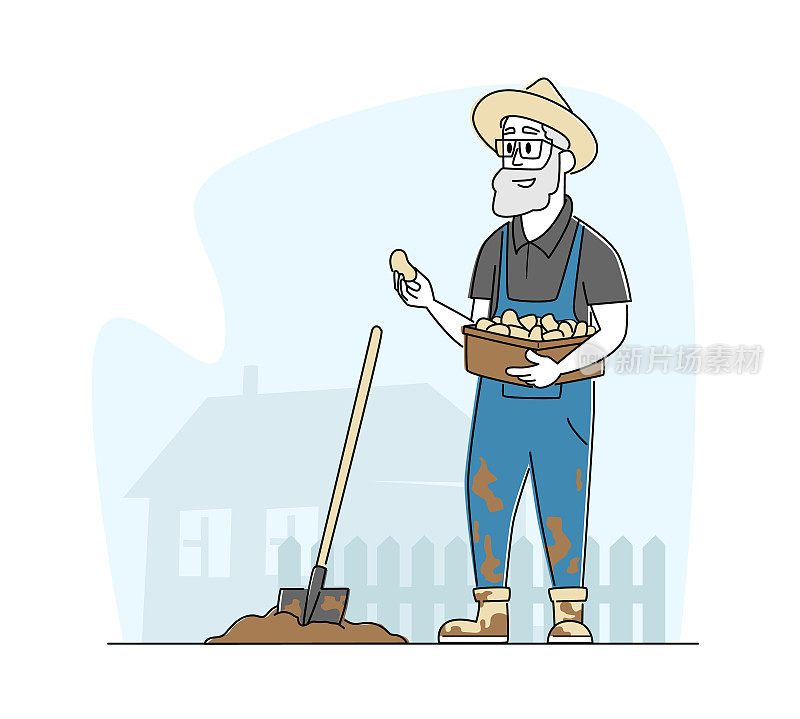 在园林中挖掘土壤和种植马铃薯在乡村或农村的工人工作服中的高级农民特征